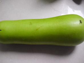 葫芦瓜解说吃鸡,趣味吃鸡之旅，带你领略游戏魅力