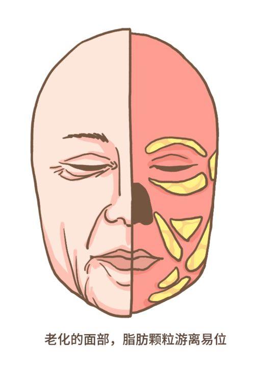 洛腮胡明星,魅力四射的银幕风采