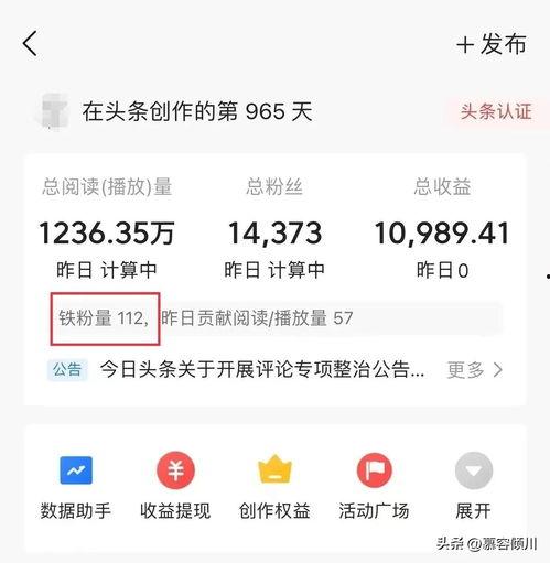 头条100个铁粉,揭秘100位忠实粉丝背后的故事与情感”