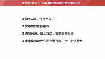 每日头条如何设置粉丝,揭秘高效粉丝生成策略，轻松打造热门账号