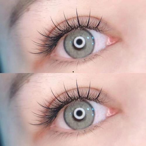 网红仙子毛嫁接,跨界嫁接，绽放新风采