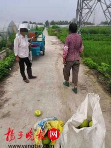 村口大妈吃瓜图片,揭秘乡村生活百态