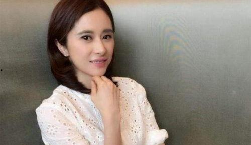 大陆明星火,璀璨星途背后的故事