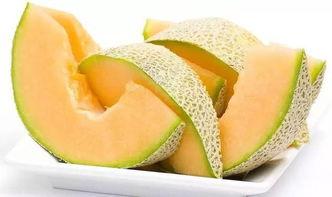 憨豆妹吃哈密瓜,哈密瓜美食之旅