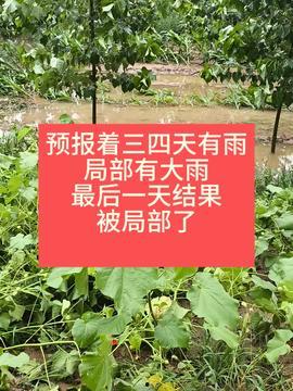 聊城今日头条农村小伙,聊城今日头条聚焦新时代奋斗者