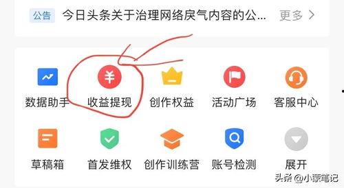 创作者微头条怎么发布,如何通过创作者微头条发布高质量内容