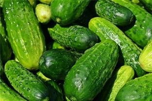 梦见吃瓜有点酸