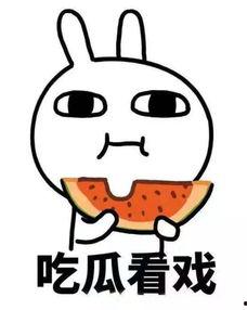 吃瓜师弟,网络红人的崛起与影响